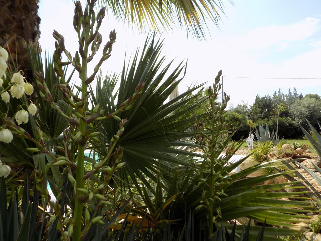 Asparano Ognina Extérieur photo